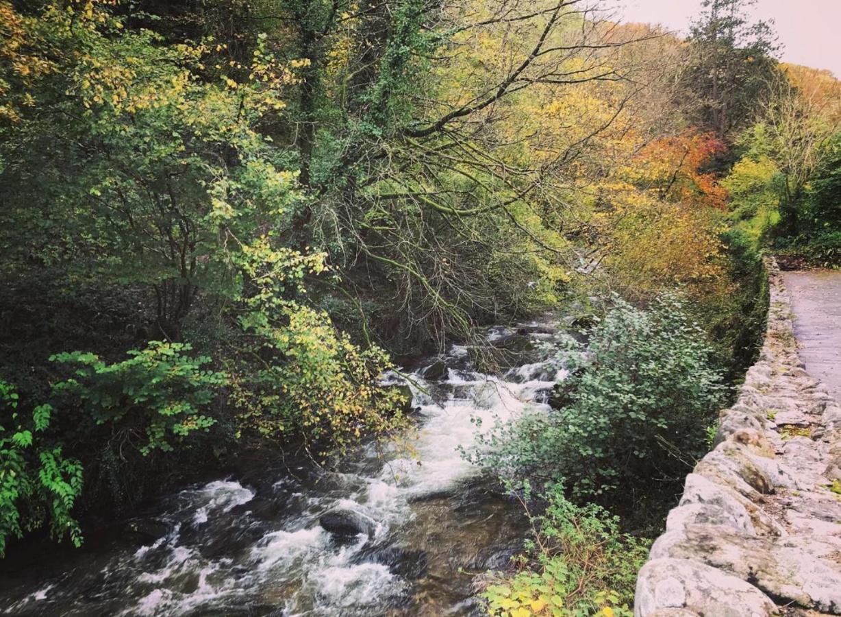 Cottage Inn Lynton Dış mekan fotoğraf